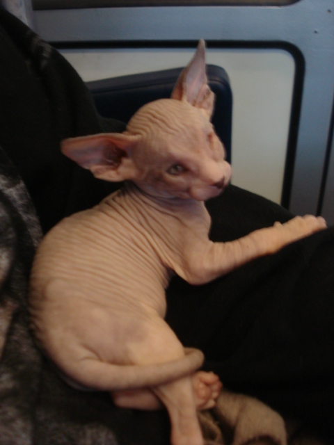 byl atrakcí pro všechny....